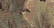 CONVERTIBLE MIDCALF - Image 7