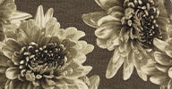 CONVERTIBLE MIDCALF - Image 17