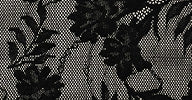 CORSET MIO - Image 4