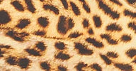 ONE SHOULDER MIO - Image 8